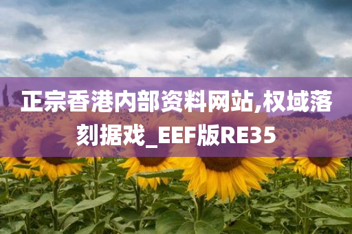 正宗香港内部资料网站,权域落刻据戏_EEF版RE35