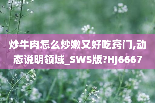 炒牛肉怎么炒嫩又好吃窍门,动态说明领域_SWS版?HJ6667