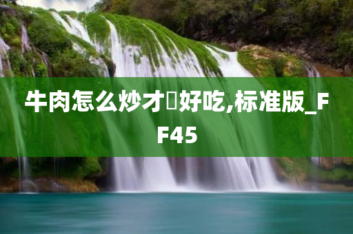 牛肉怎么炒才嫰好吃,标准版_FF45