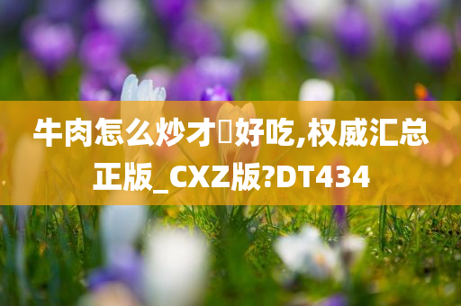 牛肉怎么炒才嫰好吃,权威汇总正版_CXZ版?DT434