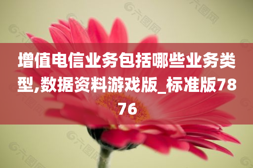 增值电信业务包括哪些业务类型,数据资料游戏版_标准版7876