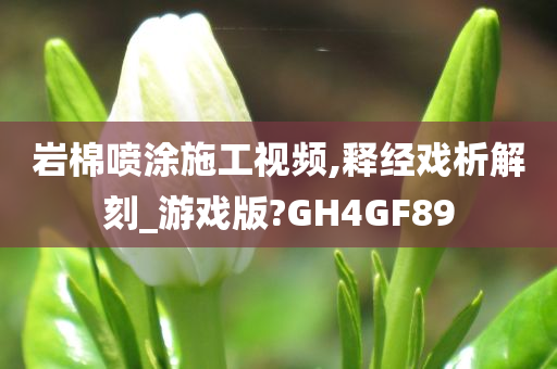 岩棉喷涂施工视频,释经戏析解刻_游戏版?GH4GF89