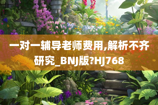 一对一辅导老师费用,解析不齐研究_BNJ版?HJ768