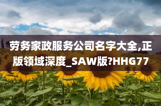 劳务家政服务公司名字大全,正版领域深度_SAW版?HHG77