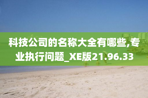 科技公司的名称大全有哪些,专业执行问题_XE版21.96.33