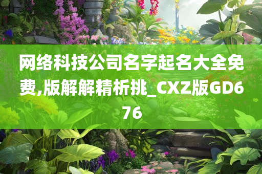 网络科技公司名字起名大全免费,版解解精析挑_CXZ版GD676