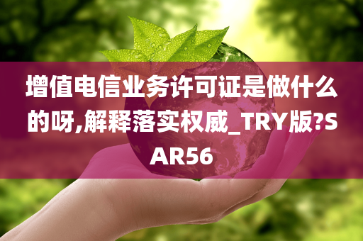 增值电信业务许可证是做什么的呀,解释落实权威_TRY版?SAR56