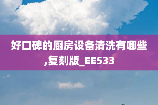 好口碑的厨房设备清洗有哪些,复刻版_EE533