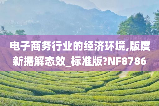 电子商务行业的经济环境,版度新据解态效_标准版?NF8786