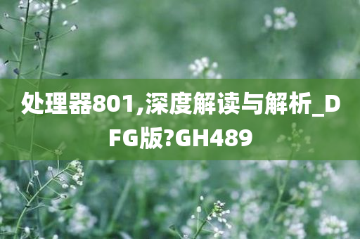 处理器801,深度解读与解析_DFG版?GH489