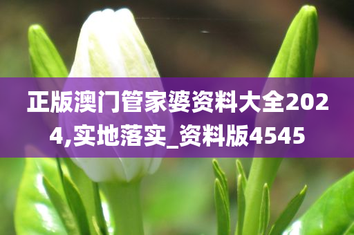 正版澳门管家婆资料大全2024,实地落实_资料版4545