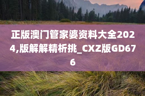 正版澳门管家婆资料大全2024,版解解精析挑_CXZ版GD676