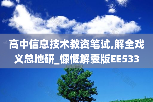 高中信息技术教资笔试,解全戏义总地研_慷慨解囊版EE533