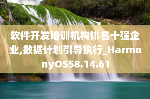 软件开发培训机构排名十强企业,数据计划引导执行_HarmonyOS58.14.61