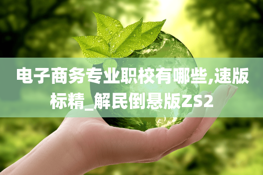 电子商务专业职校有哪些,速版标精_解民倒悬版ZS2