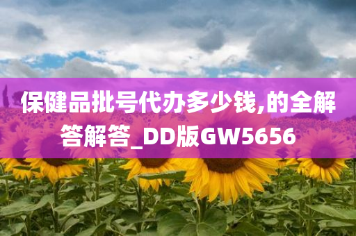 保健品批号代办多少钱,的全解答解答_DD版GW5656