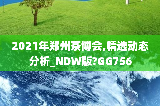 2021年郑州茶博会,精选动态分析_NDW版?GG756