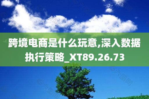 跨境电商是什么玩意,深入数据执行策略_XT89.26.73