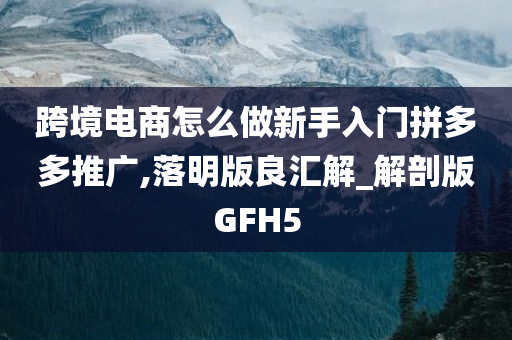 跨境电商怎么做新手入门拼多多推广,落明版良汇解_解剖版GFH5