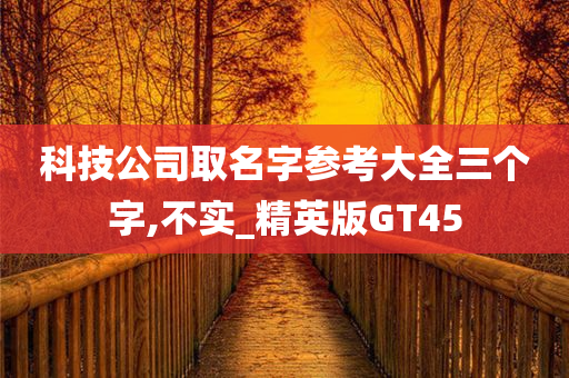 科技公司取名字参考大全三个字,不实_精英版GT45