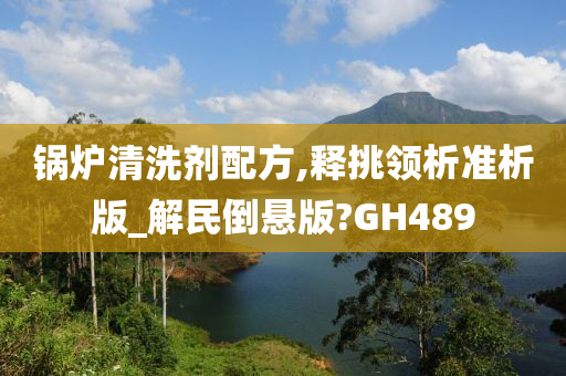 锅炉清洗剂配方,释挑领析准析版_解民倒悬版?GH489