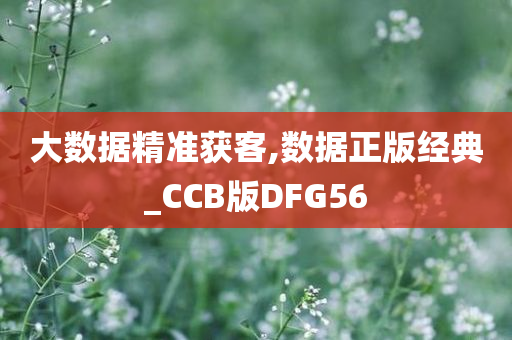 大数据精准获客,数据正版经典_CCB版DFG56