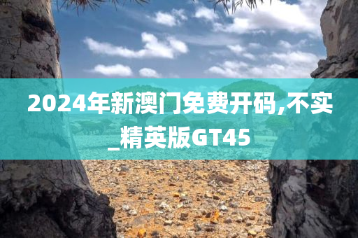 2024年新澳门免费开码,不实_精英版GT45