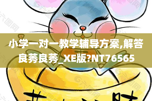 小学一对一教学辅导方案,解答良莠良莠_XE版?NT76565