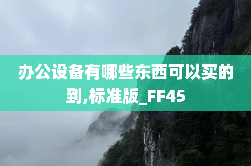 办公设备有哪些东西可以买的到,标准版_FF45