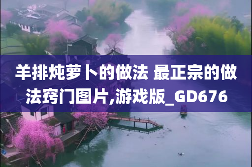 羊排炖萝卜的做法 最正宗的做法窍门图片,游戏版_GD676