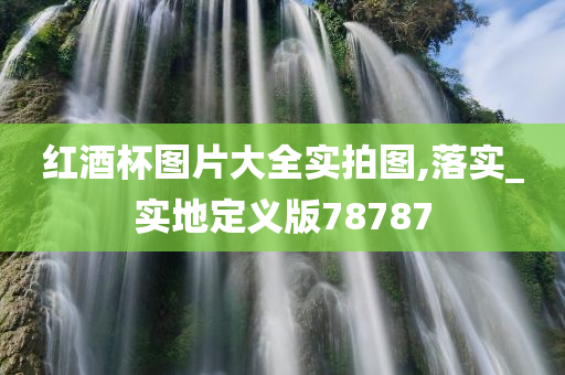 红酒杯图片大全实拍图,落实_实地定义版78787