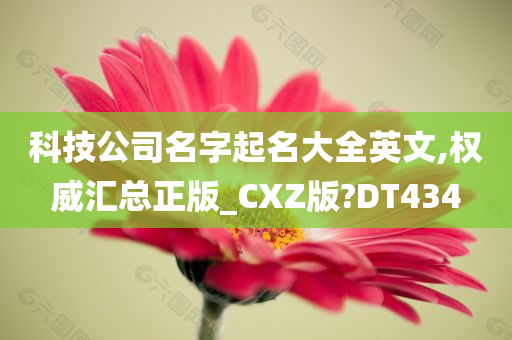 科技公司名字起名大全英文,权威汇总正版_CXZ版?DT434