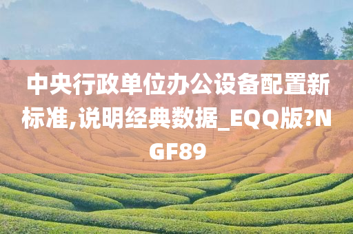 中央行政单位办公设备配置新标准,说明经典数据_EQQ版?NGF89