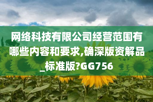 网络科技有限公司经营范围有哪些内容和要求,确深版资解品_标准版?GG756