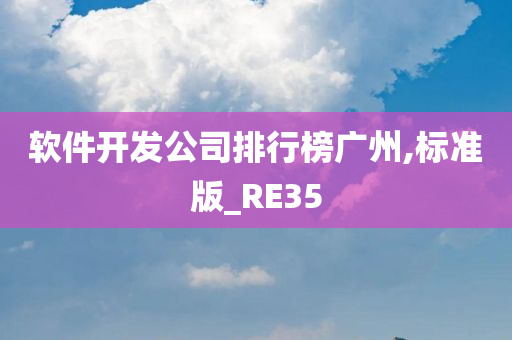 软件开发公司排行榜广州,标准版_RE35