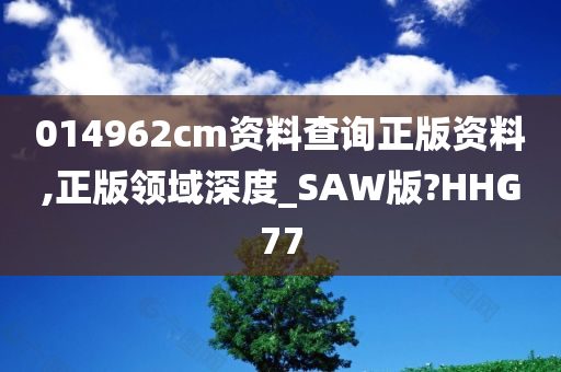 014962cm资料查询正版资料,正版领域深度_SAW版?HHG77