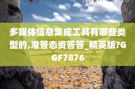 多媒体信息集成工具有哪些类型的,准答态资答答_精英版?GGF7876