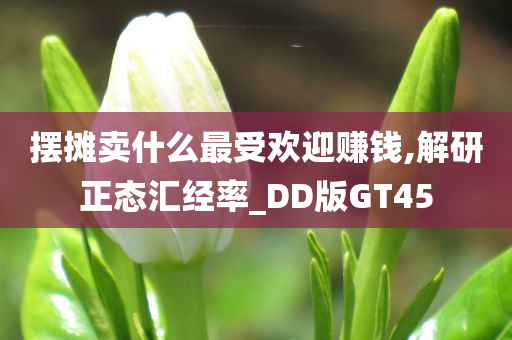 摆摊卖什么最受欢迎赚钱,解研正态汇经率_DD版GT45