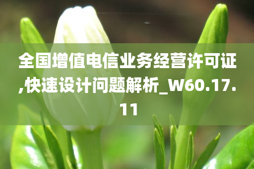 全国增值电信业务经营许可证,快速设计问题解析_W60.17.11