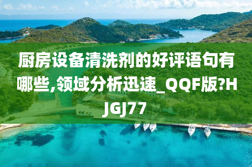 厨房设备清洗剂的好评语句有哪些,领域分析迅速_QQF版?HJGJ77