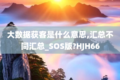 大数据获客是什么意思,汇总不同汇总_SOS版?HJH66