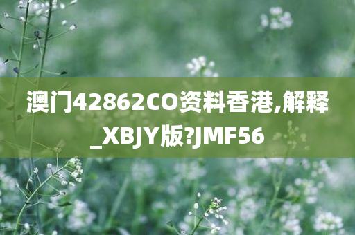 澳门42862CO资料香港,解释_XBJY版?JMF56