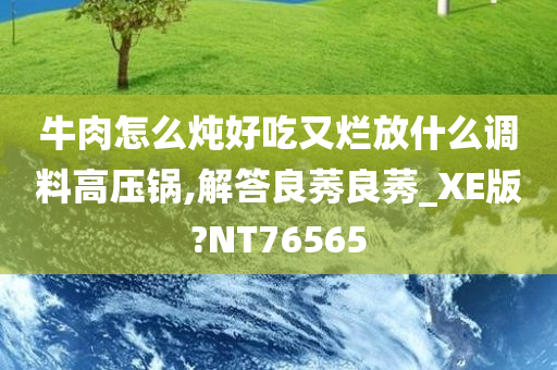 牛肉怎么炖好吃又烂放什么调料高压锅,解答良莠良莠_XE版?NT76565