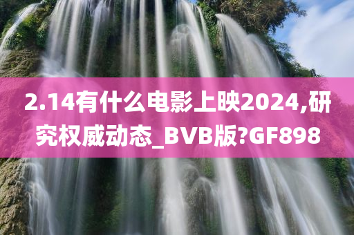 2.14有什么电影上映2024,研究权威动态_BVB版?GF898