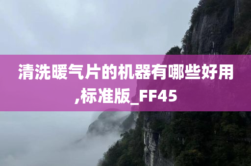 清洗暖气片的机器有哪些好用,标准版_FF45