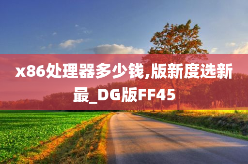 x86处理器多少钱,版新度选新最_DG版FF45