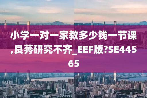 小学一对一家教多少钱一节课,良莠研究不齐_EEF版?SE44565