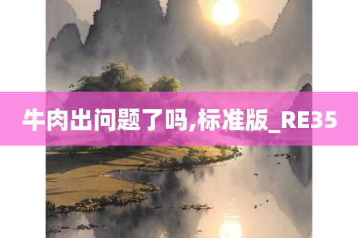 牛肉出问题了吗,标准版_RE35