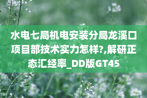 水电七局机电安装分局龙溪口项目部技术实力怎样?,解研正态汇经率_DD版GT45