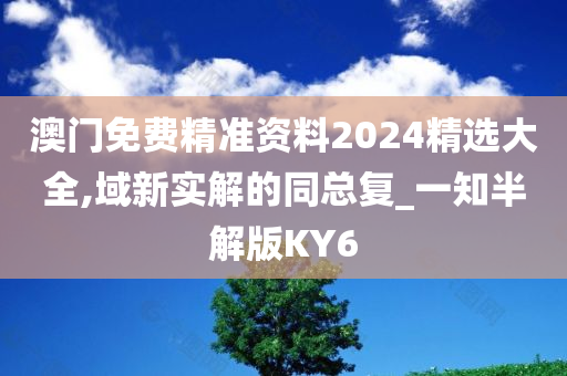 澳门免费精准资料2024精选大全,域新实解的同总复_一知半解版KY6